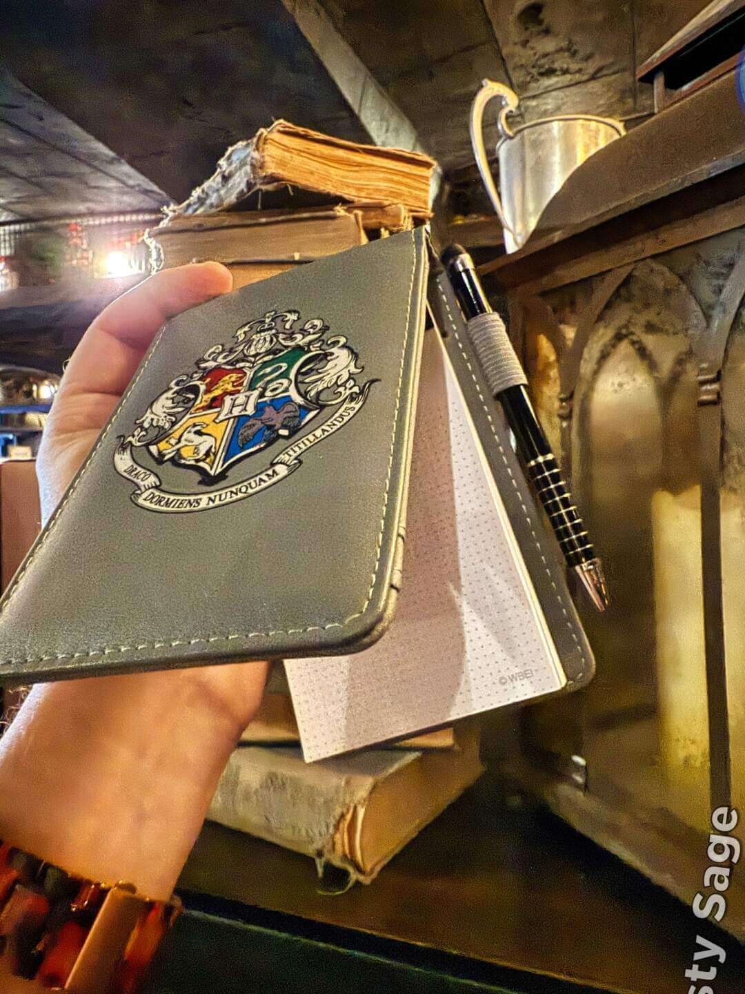 Back to Hogwarts, Back to Hogwarts: The Welcome Mat Is Out at Universal Studios Hollywood
