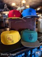 Disneyland Back to Hogwarts merch new house caps MiceChat