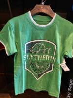 Disneyland Back to Hogwarts merch new house merch green MiceChat