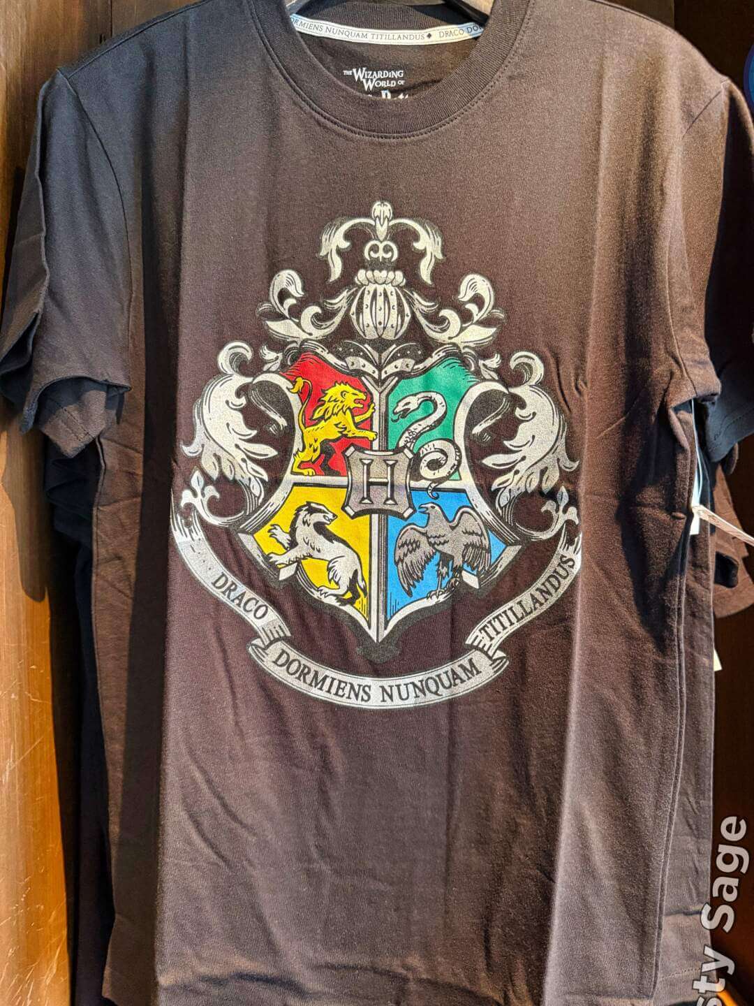 Back to Hogwarts, Back to Hogwarts: The Welcome Mat Is Out at Universal Studios Hollywood