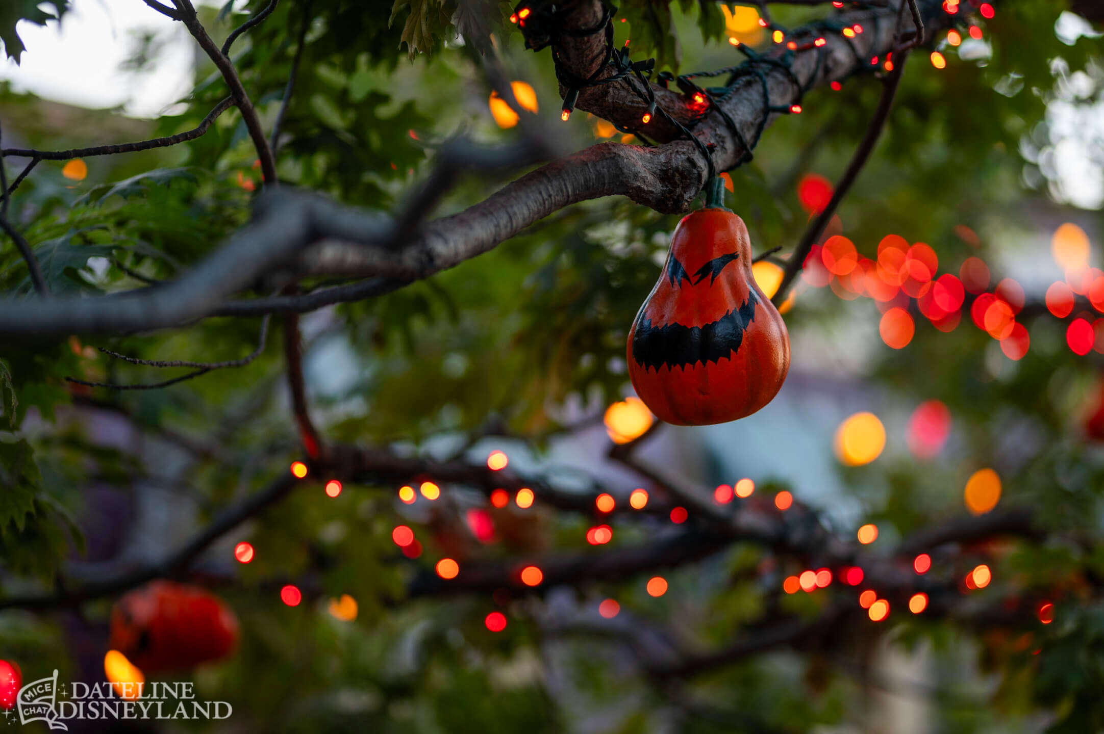 Halloween Time, Disneyland Update: Halloween Time Treats… And a Few Tricks!