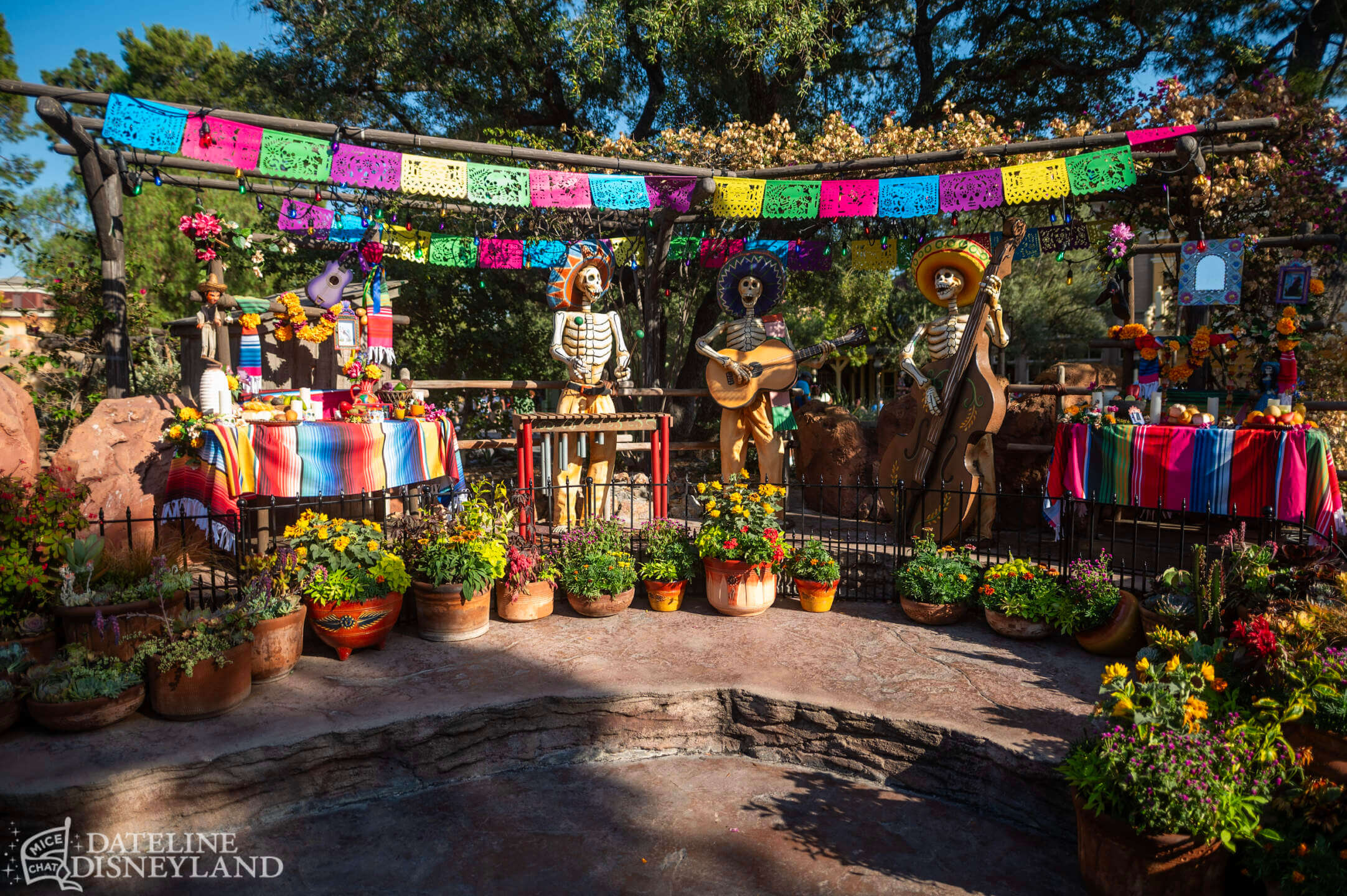 Halloween Time, Disneyland Update: Halloween Time Treats… And a Few Tricks!
