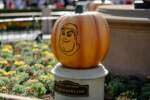 Disneyland Halloween Time Central Plaza hub Partners statue character jack-o-lanterns DSC_6092-X5