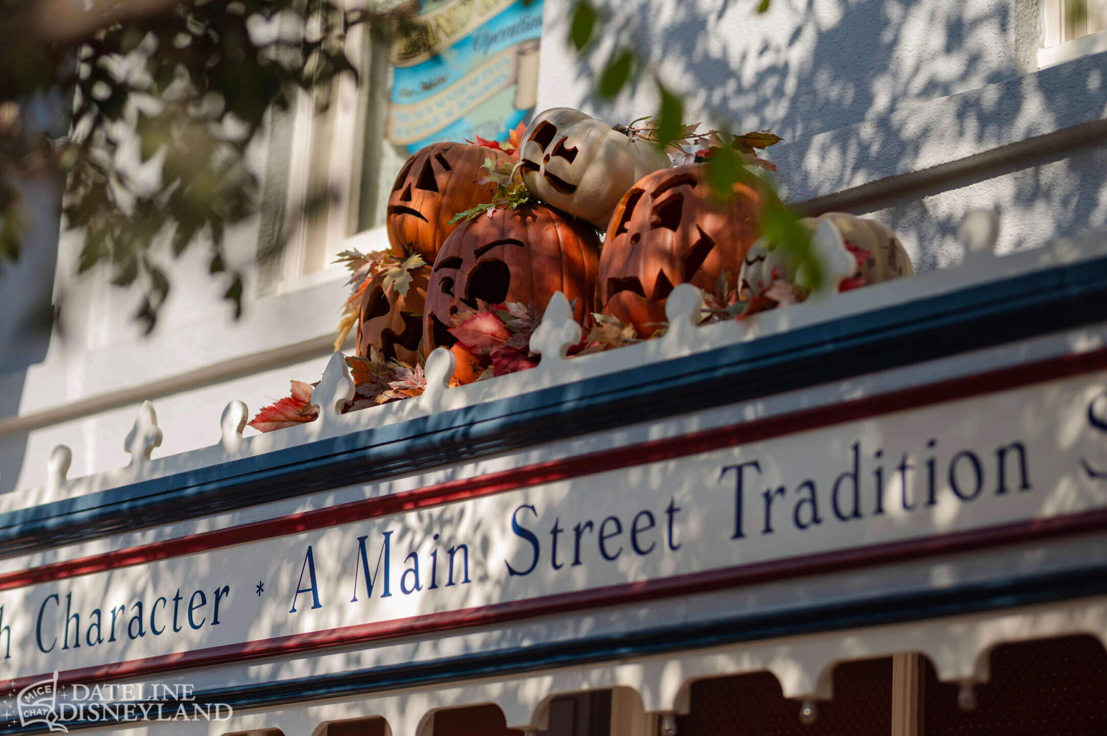 Halloween Time, Disneyland Update: Halloween Time Treats… And a Few Tricks!