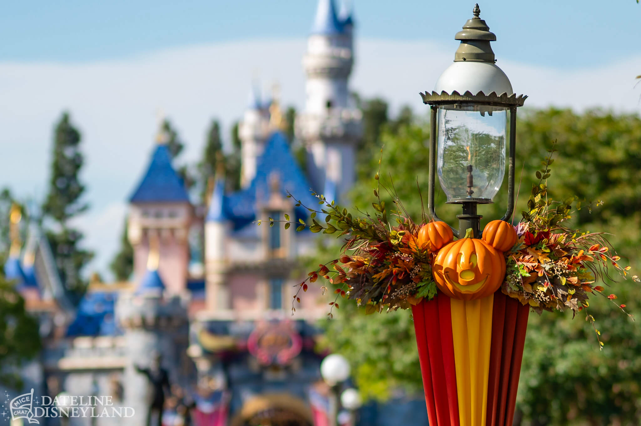 Halloween Time, Disneyland Update: Halloween Time Treats… And a Few Tricks!