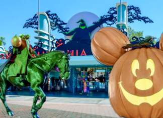DISNEYLAND UPDATE: Pumpkins, Profits & Park Progress!