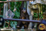 Disneyland_Adventureland_Jungle Cruise_Chimps on a Boat_Needs a Bath-2