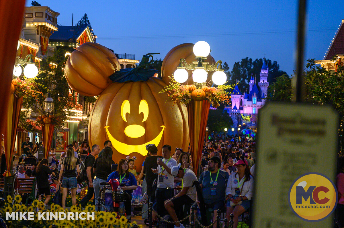 , DISNEYLAND UPDATE: Pumpkins, Projects & Pixie Dust!