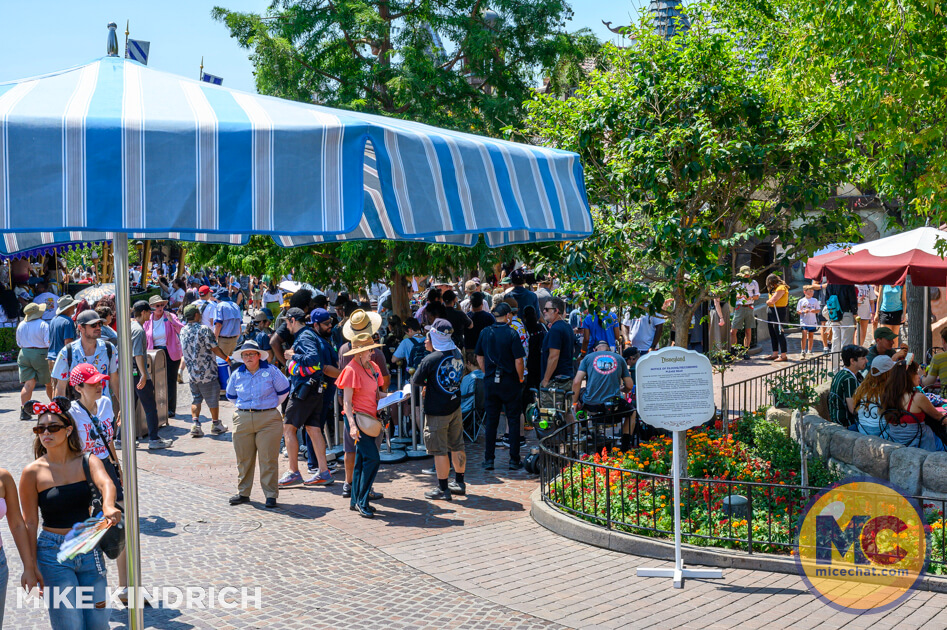 , DISNEYLAND UPDATE: Pumpkins, Profits & Park Progress!