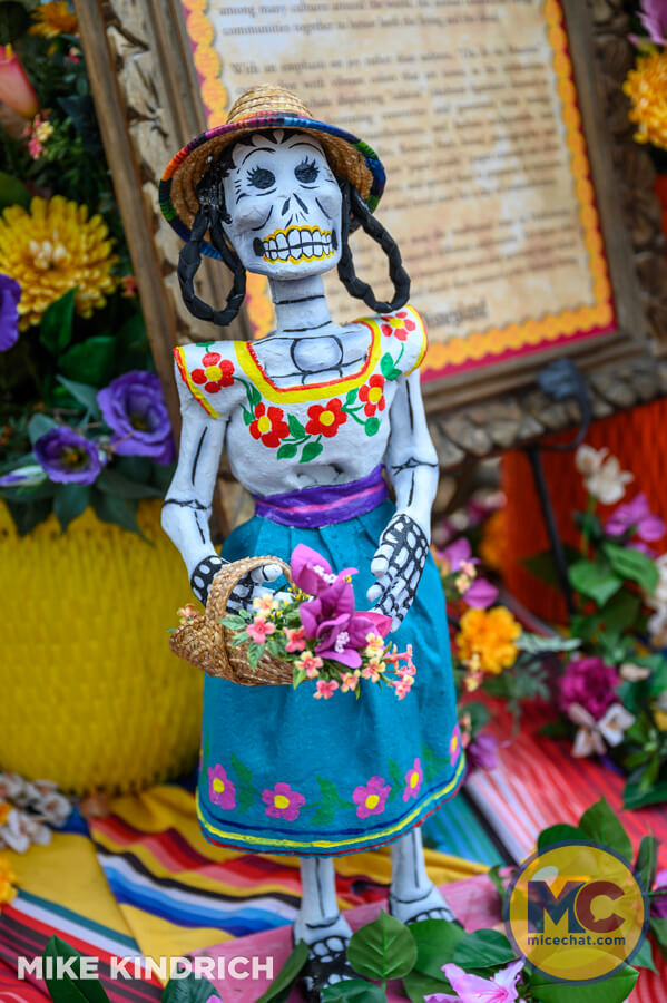 , DISNEYLAND UPDATE: Pumpkins, Projects & Pixie Dust!