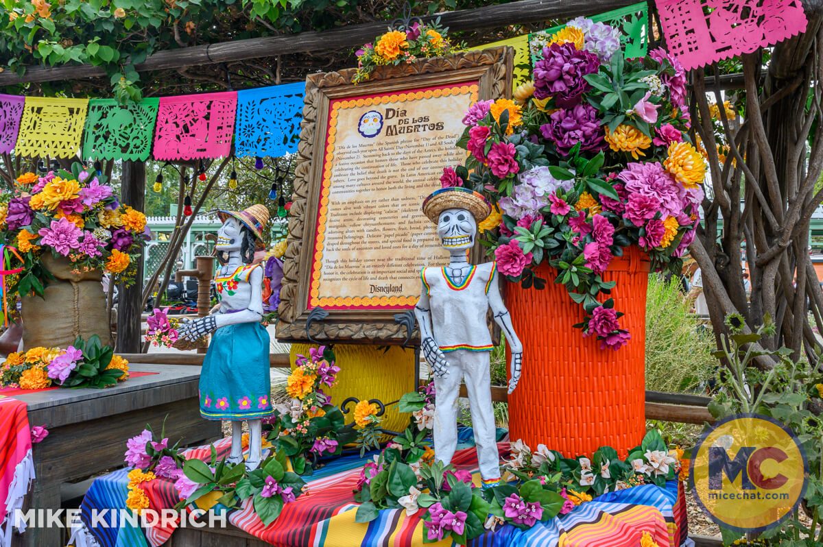 , DISNEYLAND UPDATE: Pumpkins, Projects & Pixie Dust!