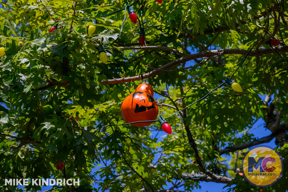 , Disneyland Update: SummerWeen Begins, Avengers Rise & Cameras Roll
