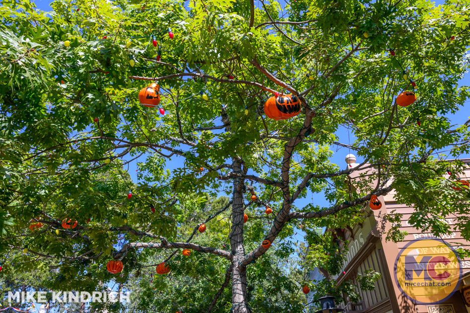 , Disneyland Update: SummerWeen Begins, Avengers Rise & Cameras Roll