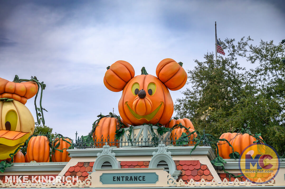 , DISNEYLAND UPDATE: Pumpkins, Projects & Pixie Dust!