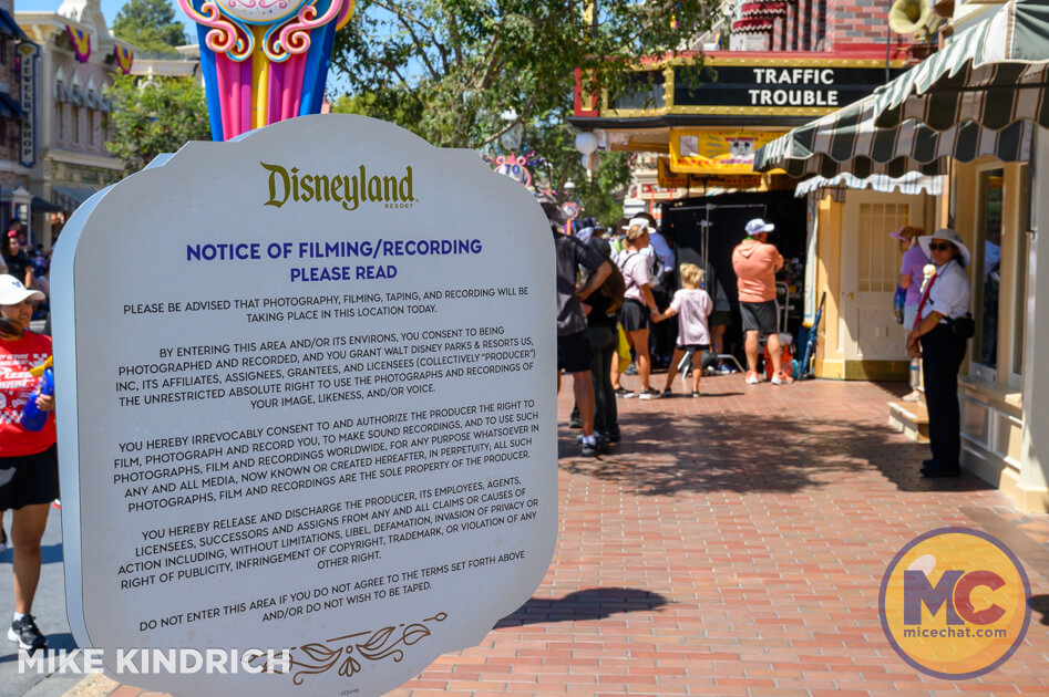 , DISNEYLAND UPDATE: Pumpkins, Profits & Park Progress!