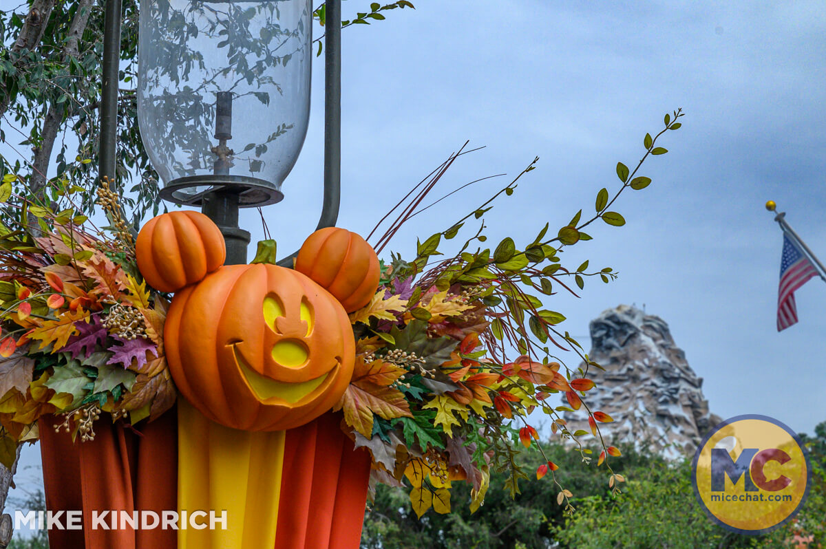 , DISNEYLAND UPDATE: Pumpkins, Projects & Pixie Dust!