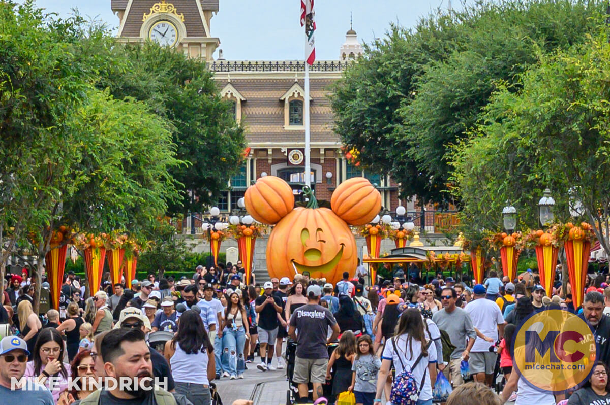 , DISNEYLAND UPDATE: Pumpkins, Projects & Pixie Dust!