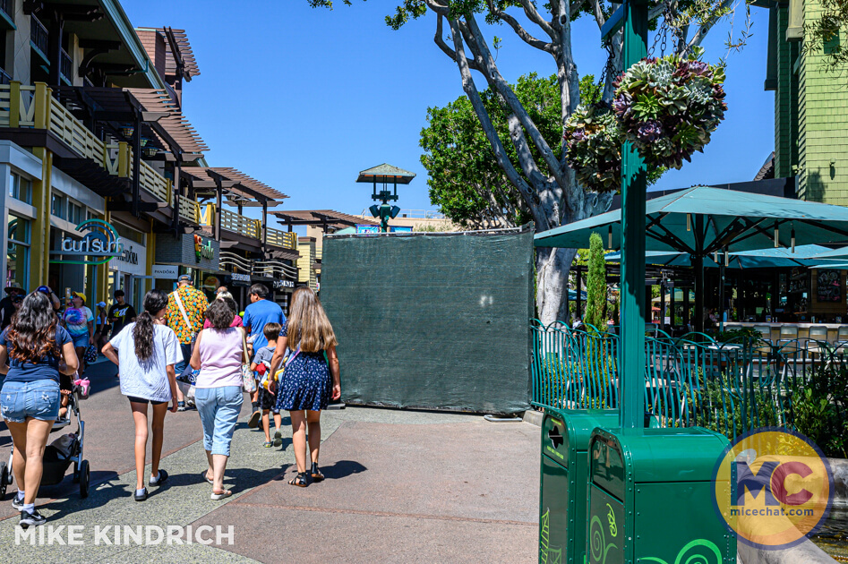 , DISNEYLAND UPDATE: Pumpkins, Profits & Park Progress!