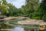 Magic Kingdom_Frontierland_Rivers of America_Drained-2