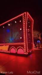 DLR-Paint-The-Night-No-DJ-1