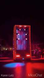 DLR-Paint-The-Night-No-DJ-2