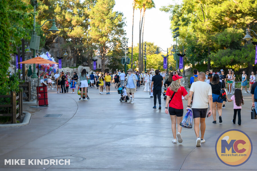 , DISNEYLAND UPDATE: The Lazy, Hazy, Crazy Final Days of Summer