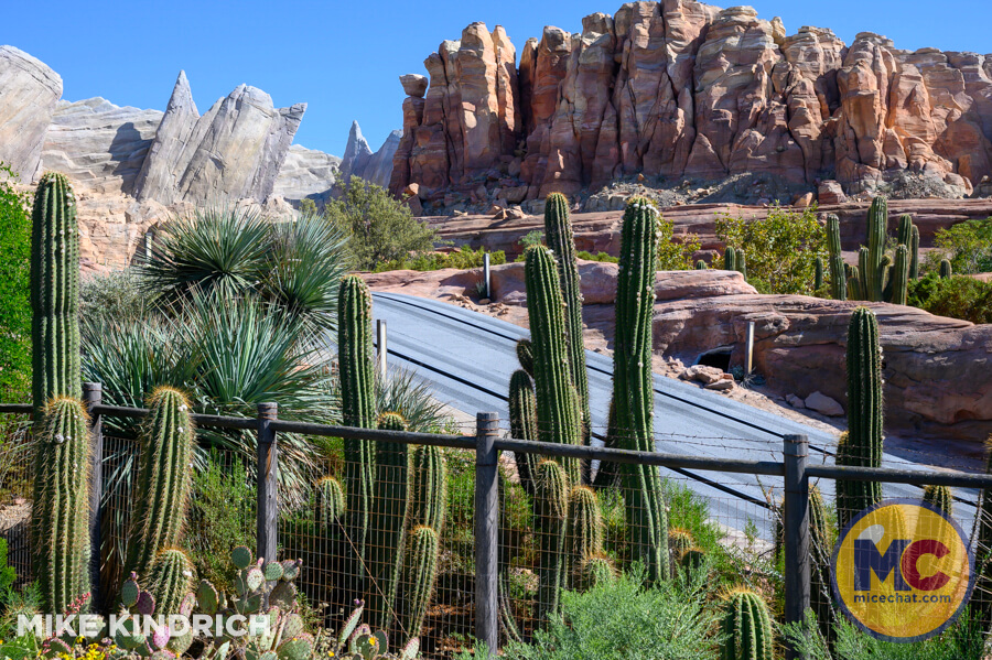 , DISNEYLAND UPDATE: The Lazy, Hazy, Crazy Final Days of Summer