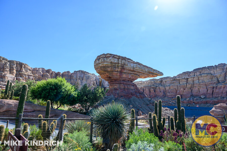 , DISNEYLAND UPDATE: The Lazy, Hazy, Crazy Final Days of Summer