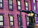 Disneyland-Beauty main street window zootopia 3-micechat