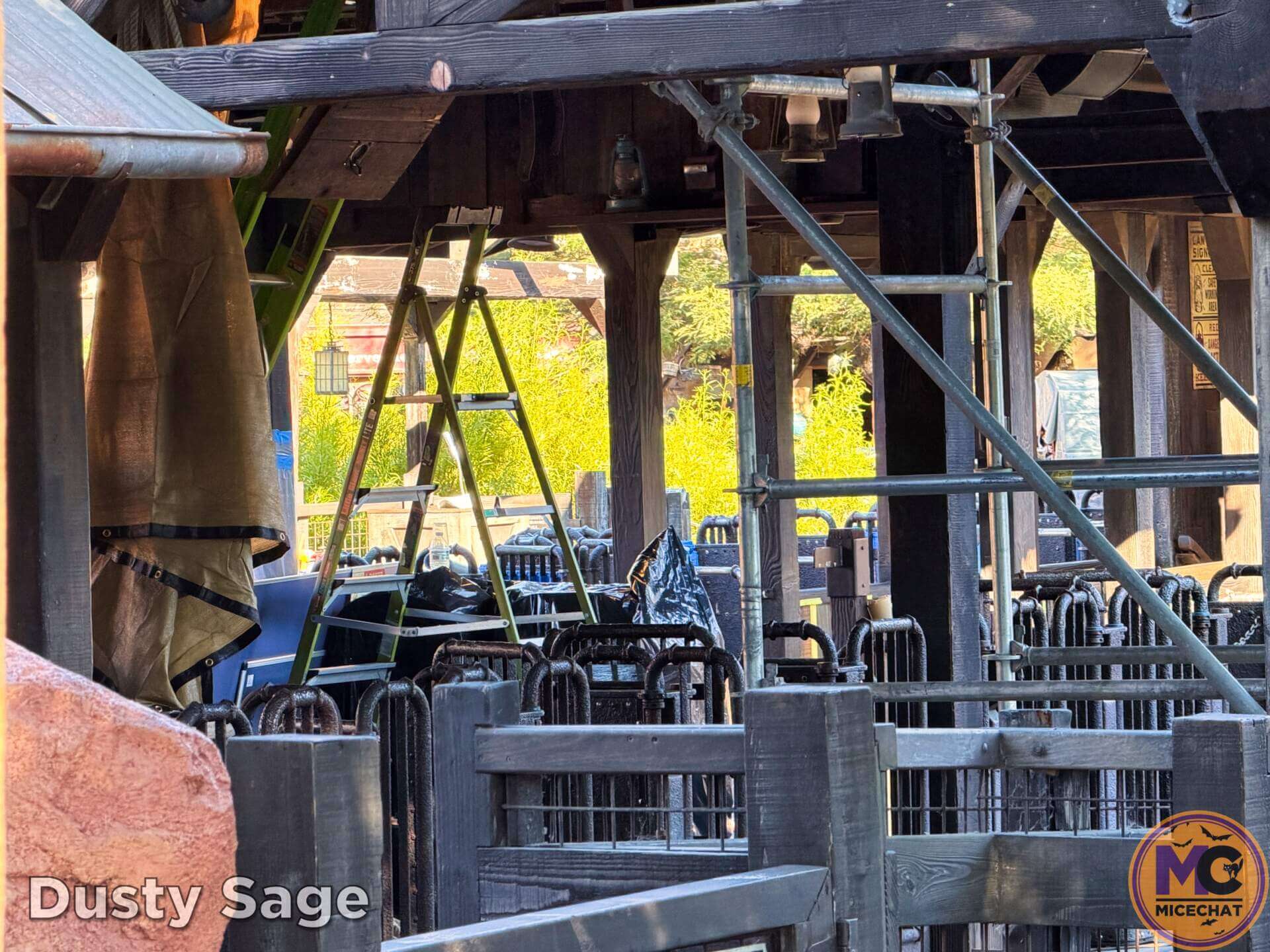 , DISNEYLAND UPDATE: Pumpkins, Peppermint & Price Cuts?!