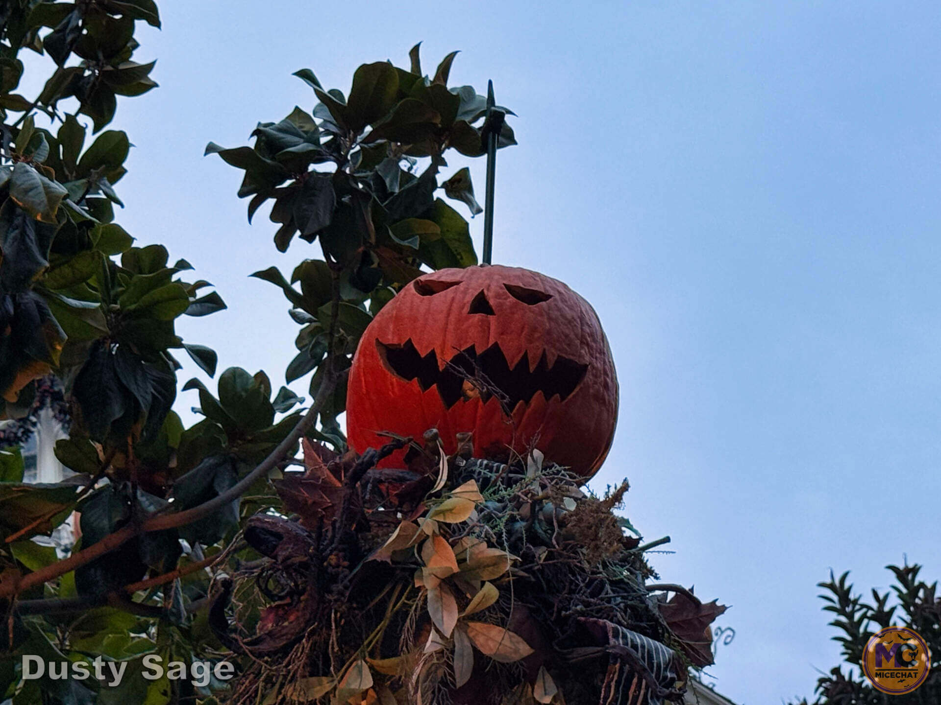 , DISNEYLAND UPDATE: Most Stressful, Record Settlements & CEO Succession&mdash;Pick Your Headache
