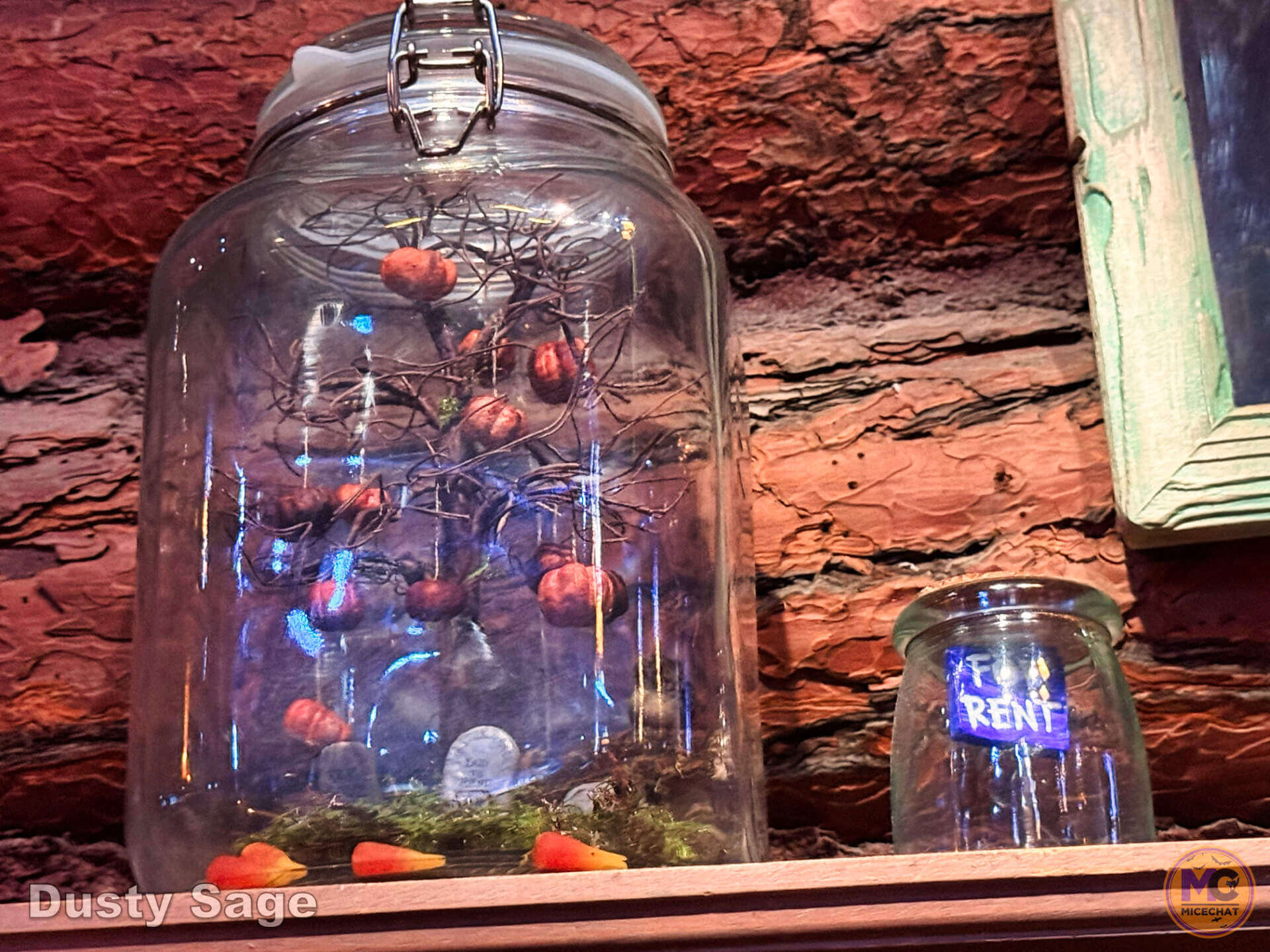 , DISNEYLAND UPDATE: Most Stressful, Record Settlements & CEO Succession&mdash;Pick Your Headache