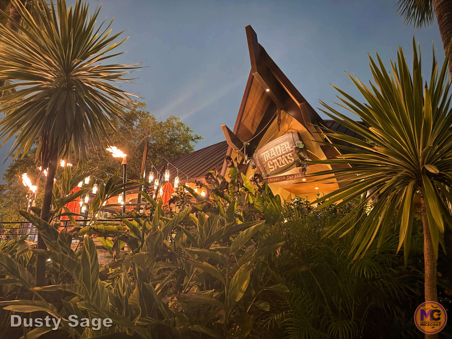 Disneyland, DISNEYLAND UPDATE: Secret Grogu Mode, Coco Walls & An Emergency Next Door