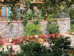 Disneyland-News-construction napa rose 2-micechat