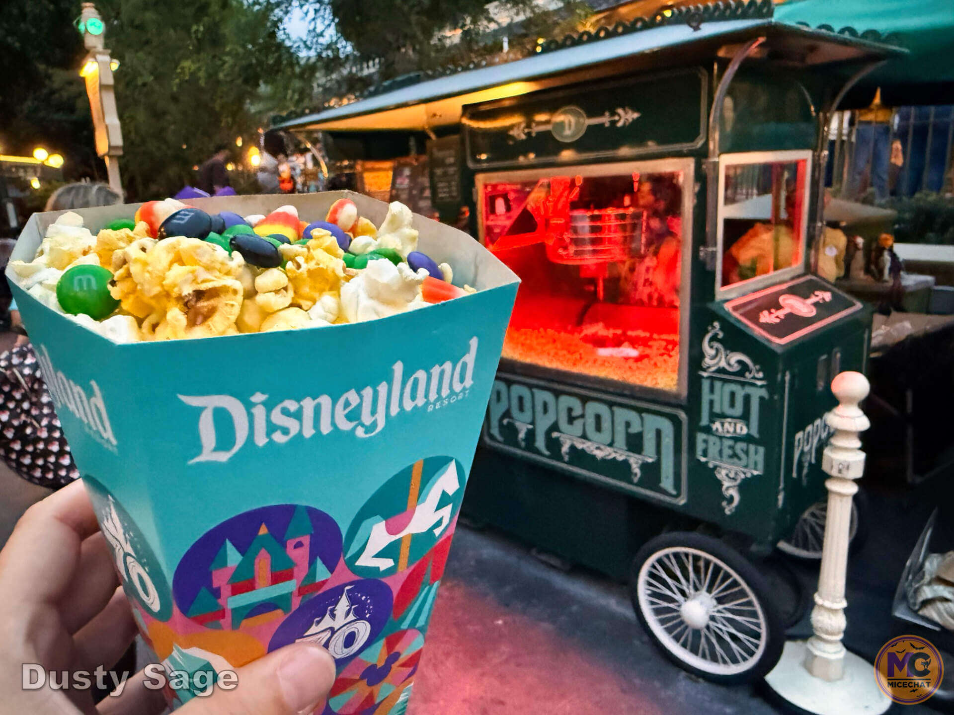 , DISNEYLAND UPDATE: Most Stressful, Record Settlements & CEO Succession&mdash;Pick Your Headache