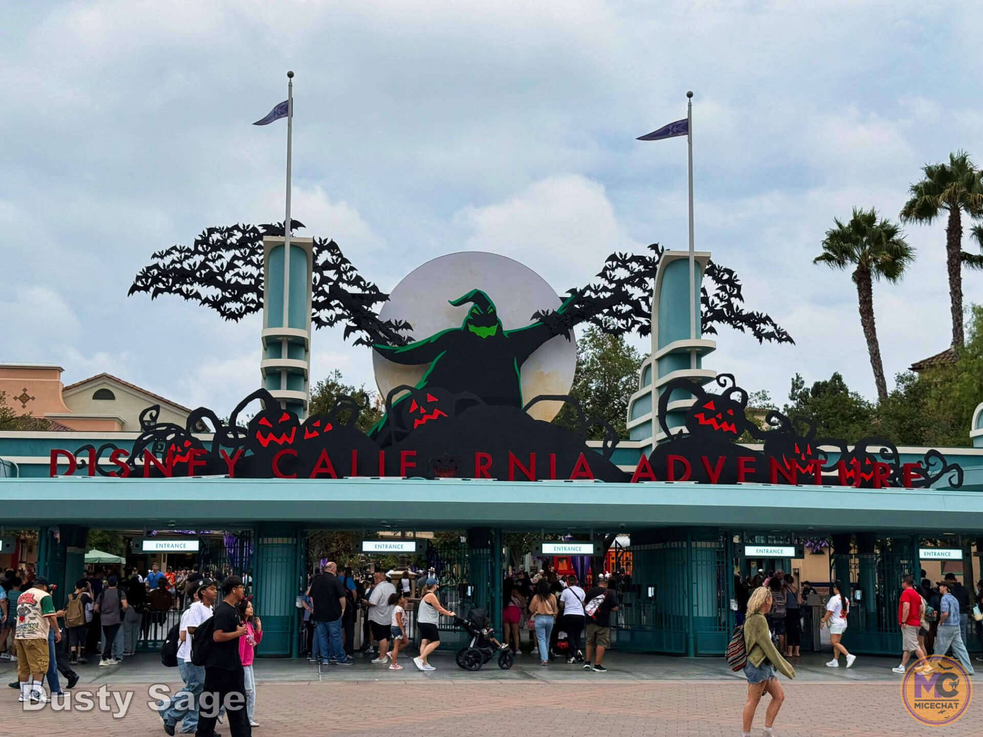 , DISNEYLAND UPDATE: Grogu Nights, Security Fights & Influencer Hype
