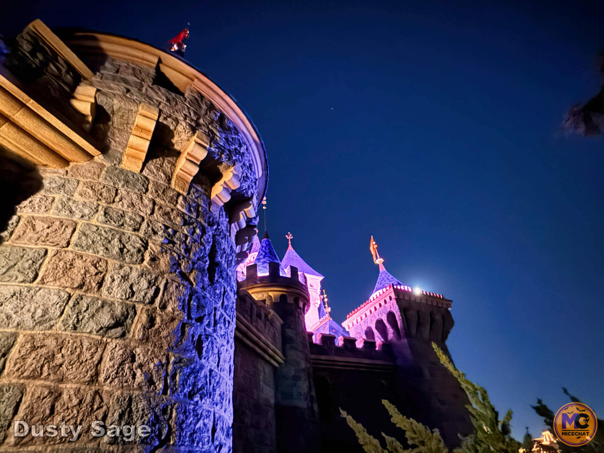 , DISNEYLAND UPDATE: The Lazy, Hazy, Crazy Final Days of Summer