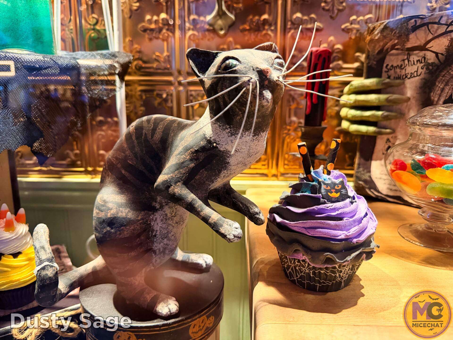 DISNEYLAND UPDATE: Pumpkins, Plywood & Price Cuts?!