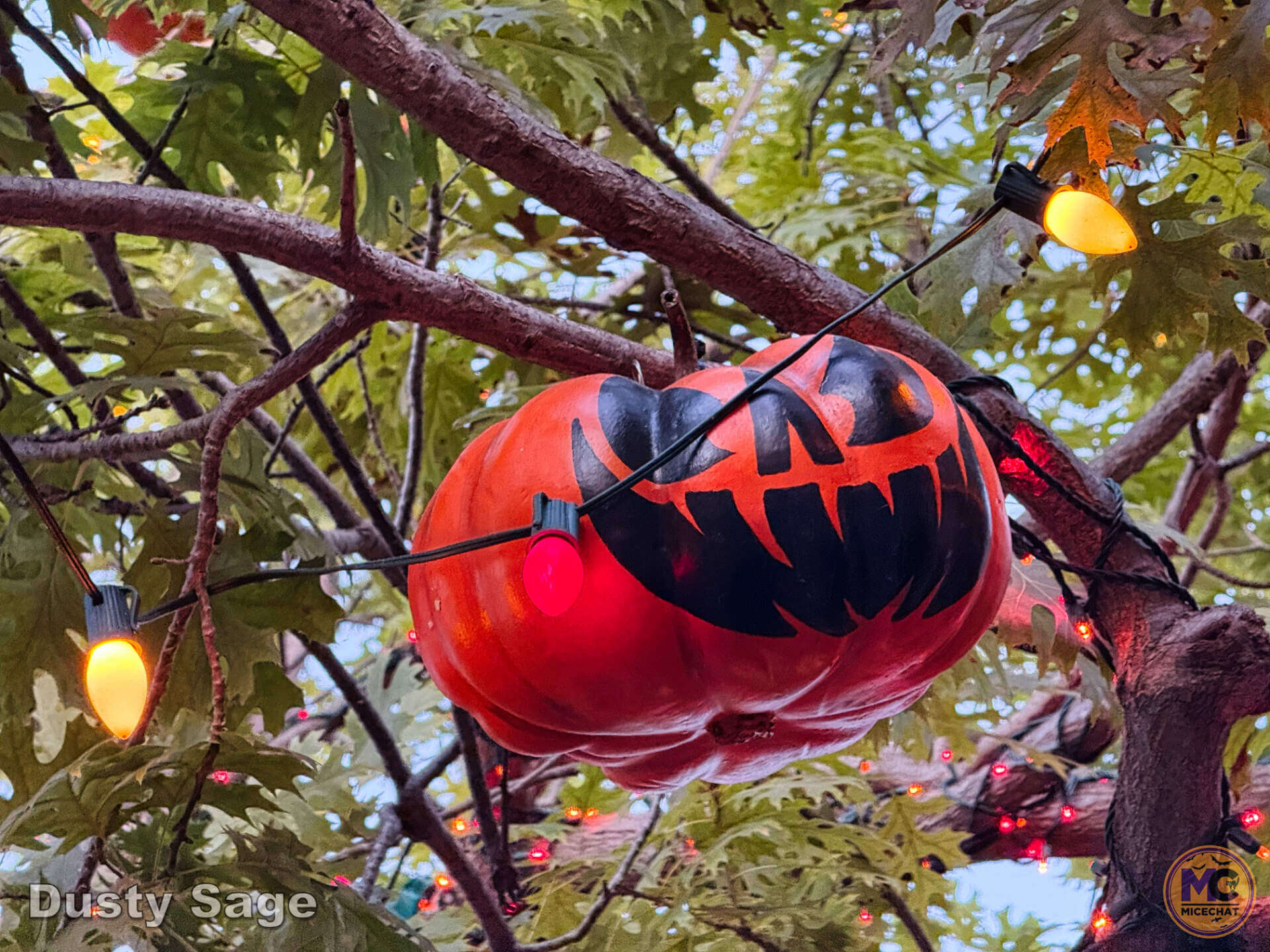 Halloween-decorated tree on Main Street USA at Disneyland