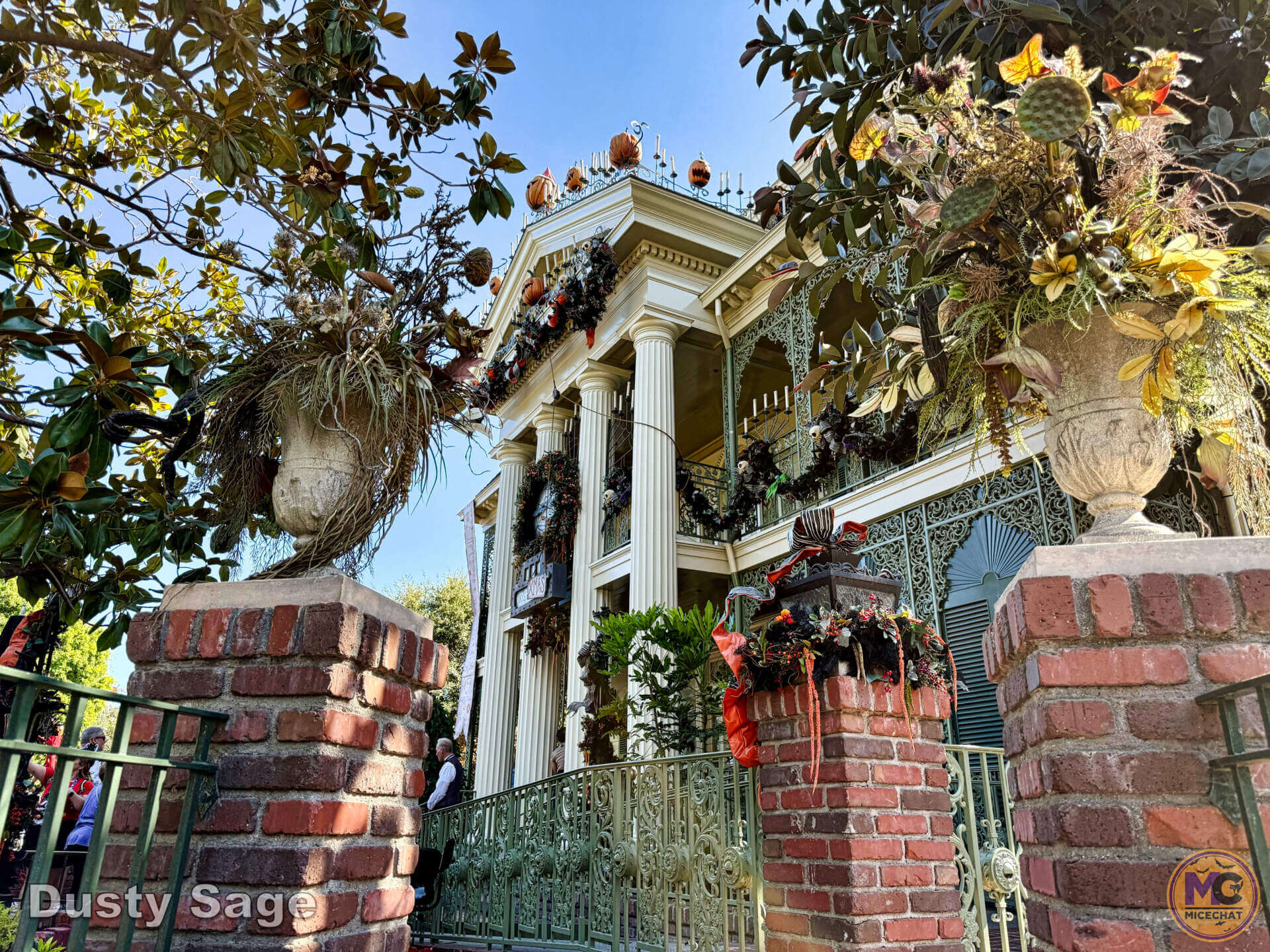 , DISNEYLAND UPDATE: Dramatic Parade Problems, Predictions & Projects