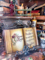 Disneyland-beauty starbucks window halloween poison apple-micechat
