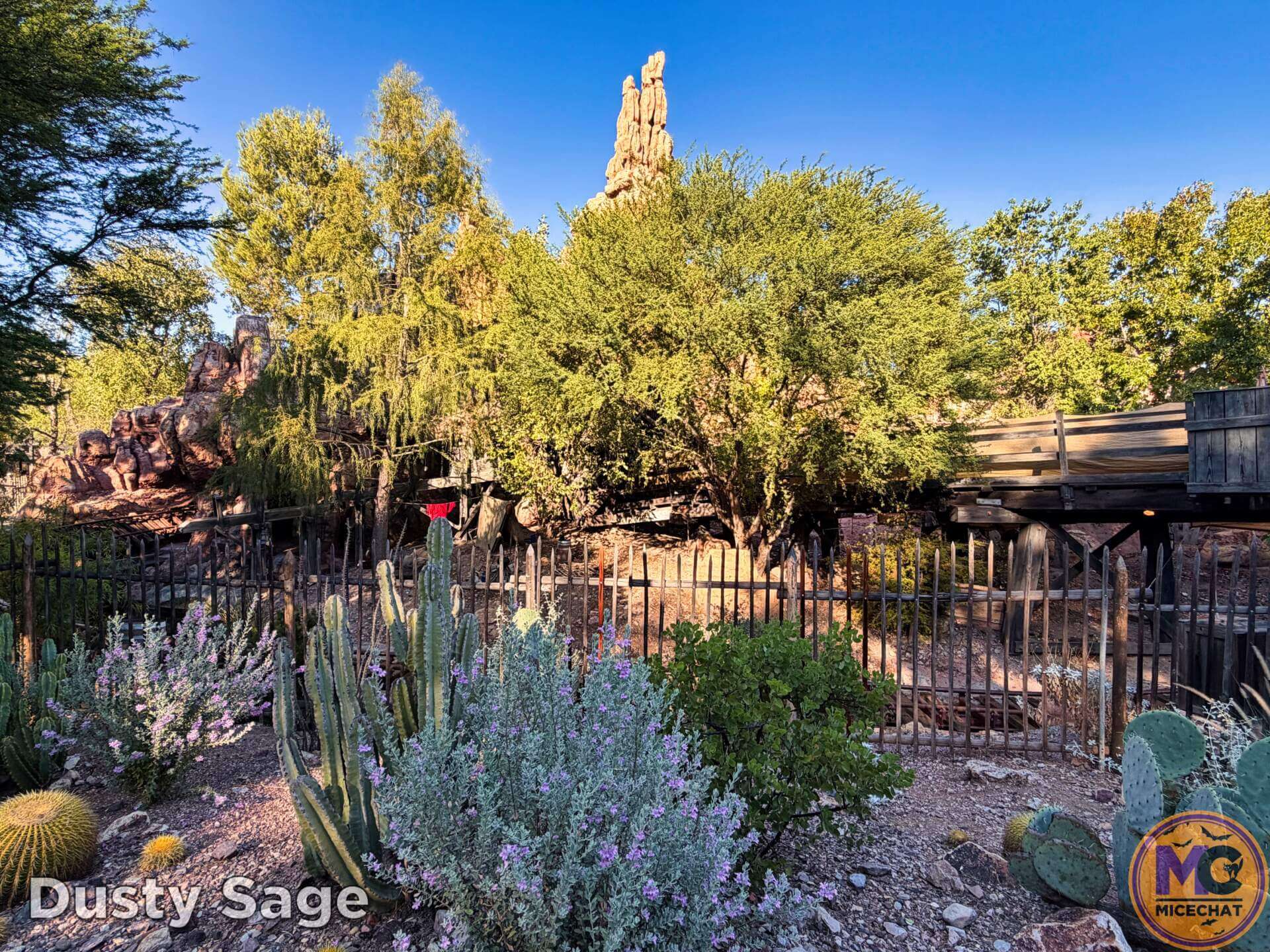 , DISNEYLAND UPDATE: Pumpkins, Peppermint & Price Cuts?!