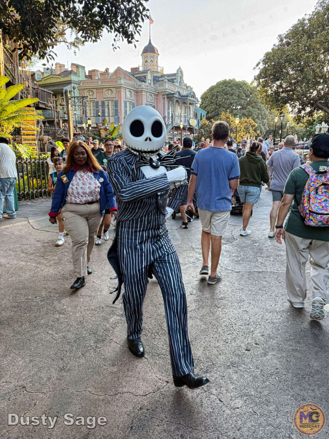 , DISNEYLAND UPDATE: Dramatic Parade Problems, Predictions & Projects