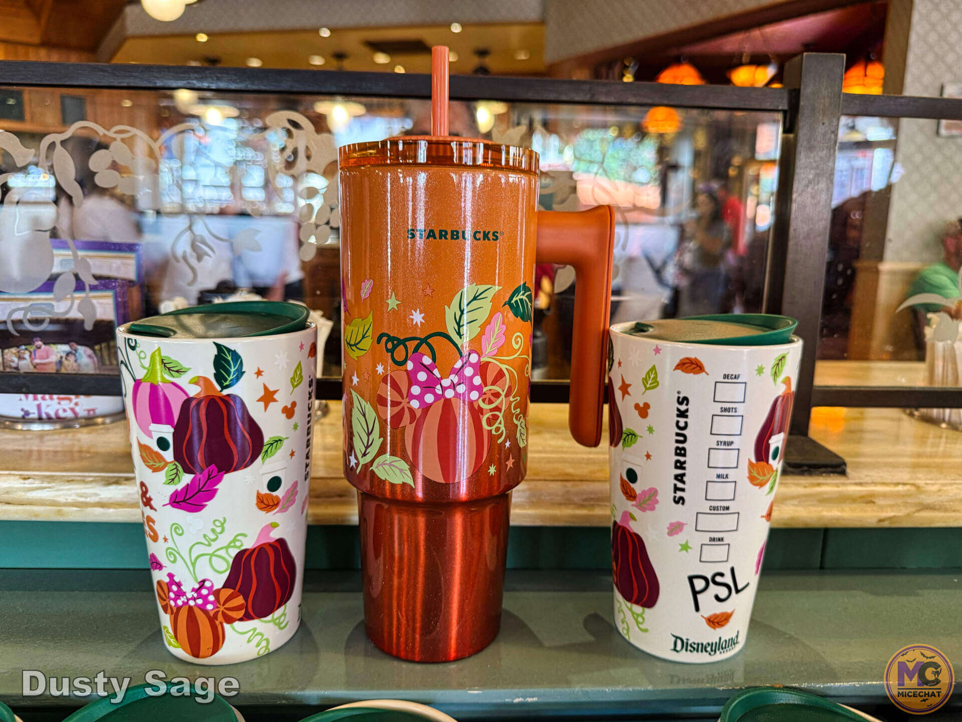 , DISNEYLAND UPDATE: Dramatic Parade Problems, Predictions & Projects