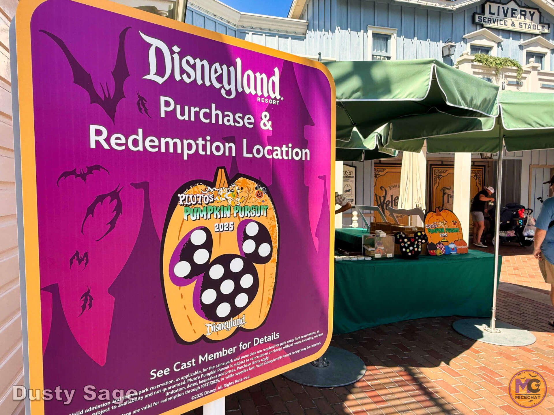 , DISNEYLAND UPDATE: The Lazy, Hazy, Crazy Final Days of Summer