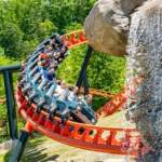 Dollywood Big Bear Mountain Coaster