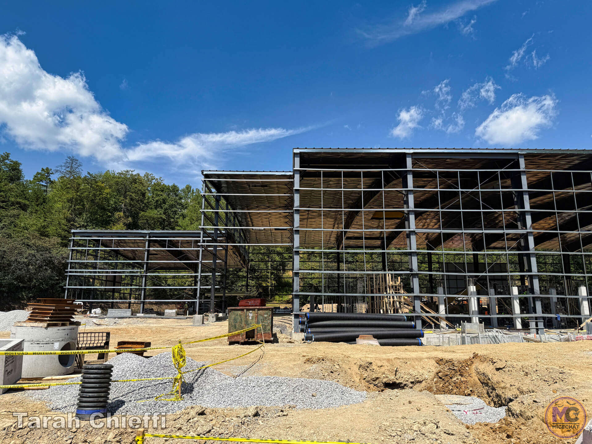 NightFlight Expedition, Dollywood&rsquo;s Most Expensive Ride Yet: NightFlight Expedition Opens 2026