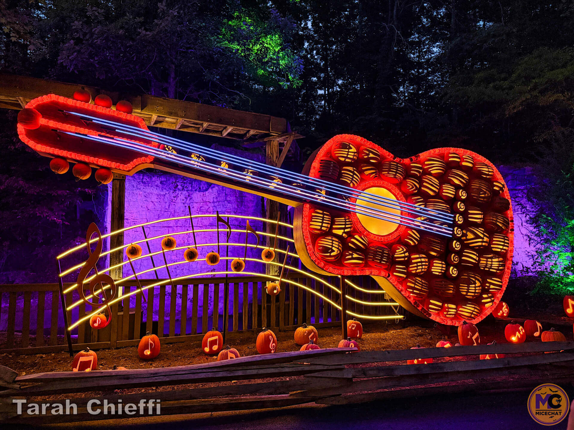 NightFlight Expedition, Dollywood&rsquo;s Most Expensive Ride Yet: NightFlight Expedition Opens 2026