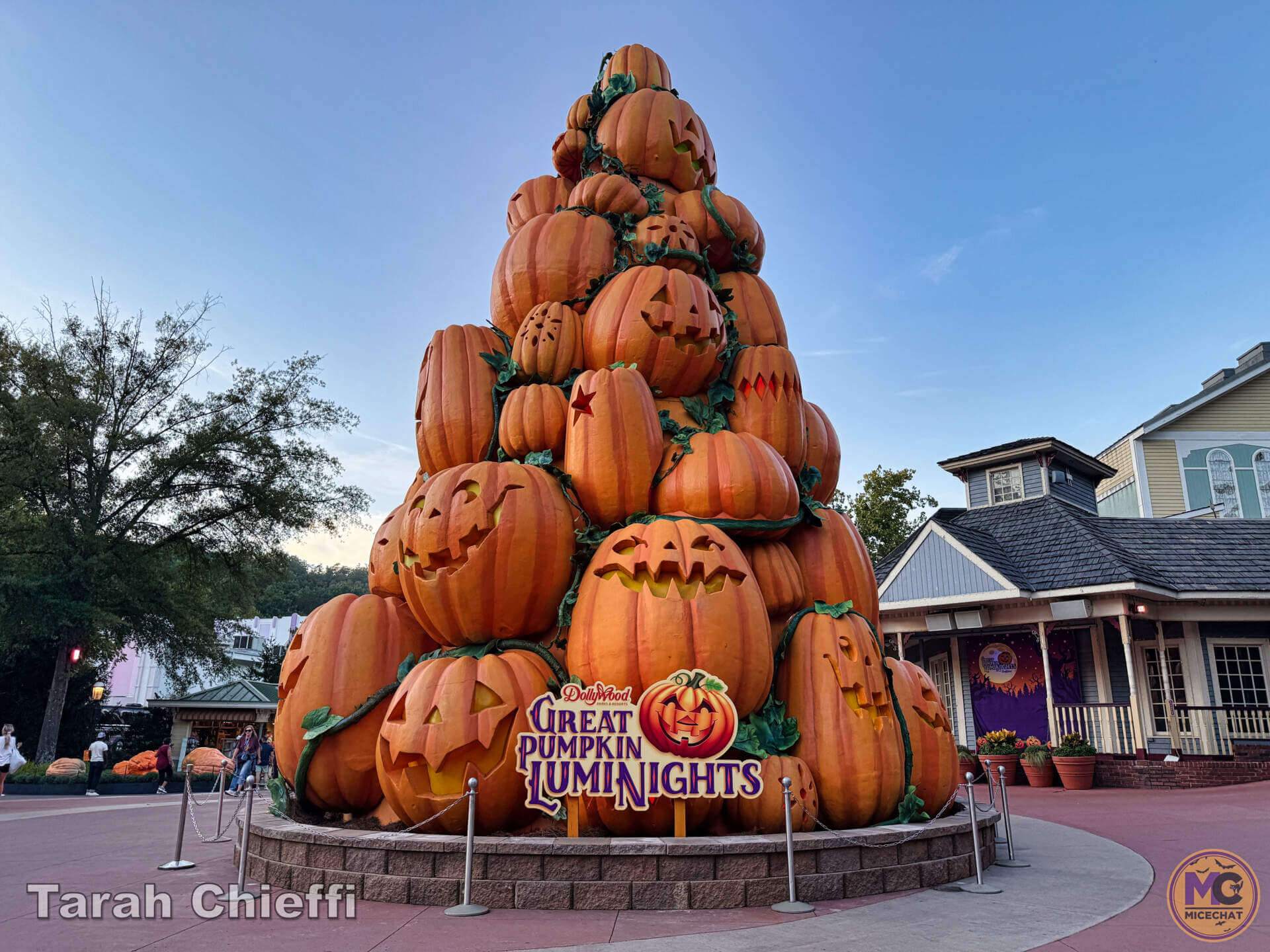 NightFlight Expedition, Dollywood&rsquo;s Most Expensive Ride Yet: NightFlight Expedition Opens 2026
