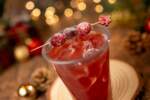 2025-WDW-Holiday-Foodie-Guide-Paloma